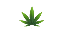 Hemp leaf